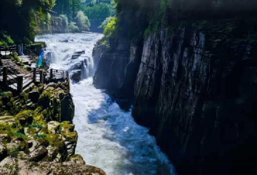 恩施腾龙洞1日游【含往返车+必消22元景交+导游】【[提前含必消]景区换乘车，必消项提前含。】