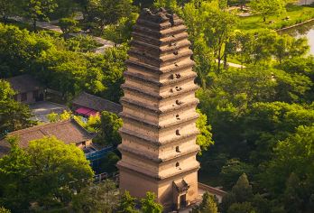 长安文心・西安博物院半日游【含门票-大咖精品讲解-多场次】【一票畅玩多景区，共寻古迹探历史。本地大咖深度讲解，品质无忧，无购物无二次消费，放心出行。】