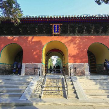 孔庙+孔府+孔子博物馆一日游【全程接送＋深度讲解＋非遗体验】