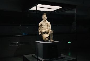 西安秦始皇兵马俑半日游+英文导游+晚出发【持证英文导游，无线耳麦，细致解读陶俑纹路、神态背后的历史密码。】