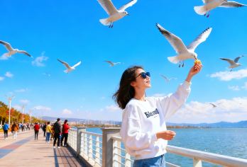 石林风景区+滇池一日游【免费上门接丨赠当地特色菜丨避坑购物】【[纯玩无购物]保证深度纯玩，时间100%用于游览体验，精选核心景点，安排充足时间，拒绝走马观花】