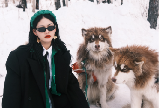 长白山二傻巡山记·毛孩度假【徒步雪林秘境|萌犬撒欢陪游】【与雪橇犬结伴，漫步于冬日农场雪原，体验一段人与萌宠协作、温暖而治愈的漫步时光。】