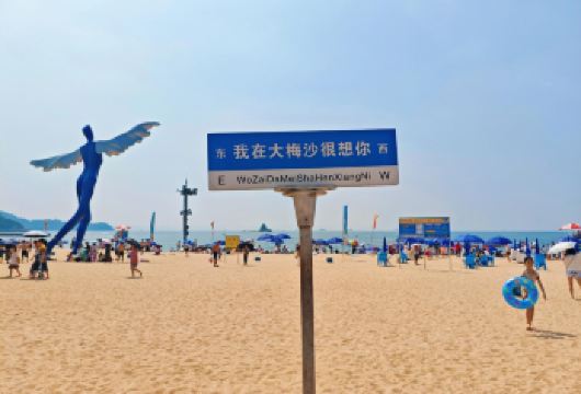 私家小团上门接送|深中通道+深圳地王大厦+大梅沙+中英街一日【私家旅行：一单一团，不拼客，专属旅行； 品质服务：5座/7座车上门接送，专职司机护航】