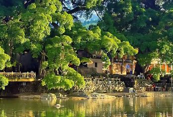 踏谣访布宫之旅：福建云水谣+田螺坑景区【[纯玩服务]中文司机│舒适座驾│轻松省心│无需担心路线、停车、疲劳驾驶，可将更多精力用于游览体验】