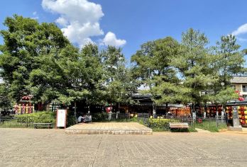 昆明 一日游【官渡古镇+昆明老街+斗南花市+云海花田】【一日昆明 千年烟火，在湖光山色中邂逅历史，于街头巷尾间品味浪漫。】