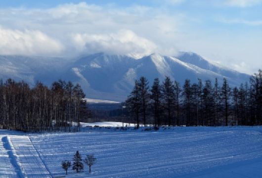 日本北海道+旭山+森林精灵阳台一日游/行程可调-可定制【专属客服和本地中文司机，一家一团包车】