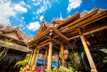 西双版纳中科院热带植物园+西双版纳傣族园一日游【导游讲解丨泼水狂欢】