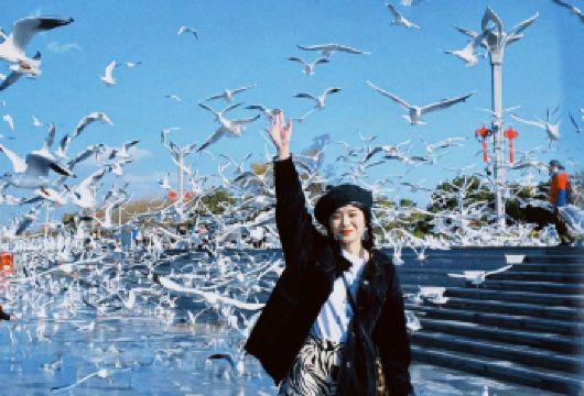 石林风景区+滇池一日游【纯玩不进店+学生退40+赠午餐 】【[品质纯玩]打造云南高端旅游体验，一手地接社，三年0投诉自家发车纯玩无购物，尽情畅游。】