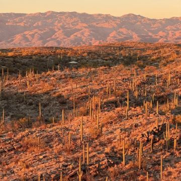 美国凤凰城往返巨人柱国家公园-包车-精选