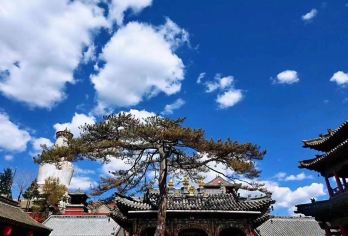 五台山+五爷庙+塔院寺+殊像寺+龙泉寺一日游【原平出发】【深入圣地，祈福还愿。启智修心，必来之地。】