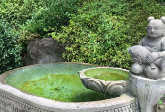 韩国 济州岛 柱状节理带+天地渊瀑布+泰迪熊博物 包车一日游【浪漫济州之旅】