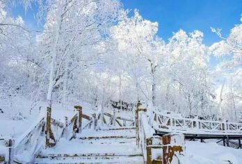 长白山北坡景区一日游【万达/鲁能起止 上门接送 迷你小团】【纯玩无购物，安心出游，拒绝旅游套路】