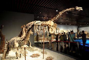 南京博物院半日游【资深导游讲解，多场次可选，亲子出游】【[可选多套餐]带你趣味游南博，听历史，看南博神奇之处！】