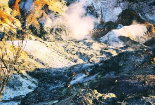 日本札幌-登别-室兰地球岬/可小樽富良野北海道多日包车精选【包车一日游，解锁旅行新方式！独立车辆配备经验丰富的老司机，为您量身打造专属行程。】