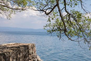 云南澄江抚仙湖+禄充风景区+粉红沙滩+广龙抚海湾一日游【拼车纯玩】