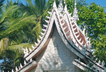 西双版纳曼听公园+总佛寺+傣族园+热带花卉园一日游【中文包车，定制服务，安心自由】