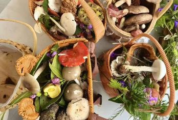 西双版纳大渡岗捡菌子+科普识别野生菌+土鸡菌餐+专业向导【采蘑菇 科普识别野生菌】