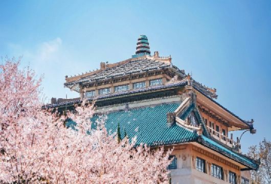 武汉大学半日游【大师说】含精讲2小时@研学亲子游【丨漫步校园欣赏复古建筑--带您了解百年名校】