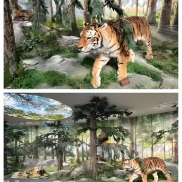 东北哈尔滨+圣索菲亚教堂+东北虎园林+中央大街+冰雪大世界