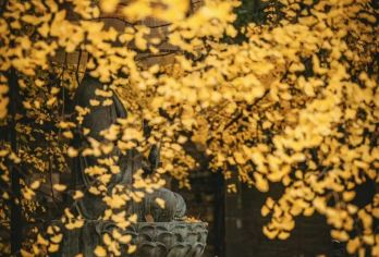 古观音禅寺+重阳宫+活死人墓一日游【真纯玩+三环内上门接送】【5座7座9座车出行，优秀当地老司机，熟悉路况，安全驾驶，服务态度好，真诚待客。】