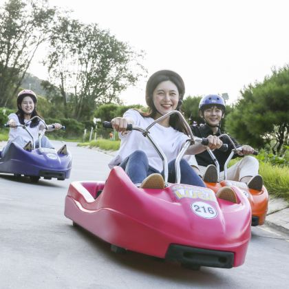 韩国仁川好玩一日游(A1)| 斜坡滑车+船上喂海鸥+铁路车