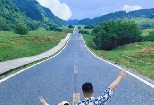 梦幻武隆·天坑仙女山一日游|纯玩0购·舒适大巴·管家式服务【打卡5A风景名胜区-天生三硚，及仙女山国家森林公园--独具魅力的高山草原、南国牧场。】