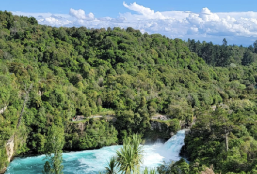 新西兰奥克兰-科罗曼德尔森林公园徒步游【中文专车-惬意舒适】【中文专车出行，行程自己定义，无需等待，专属贴心服务，尽享惬意旅程】