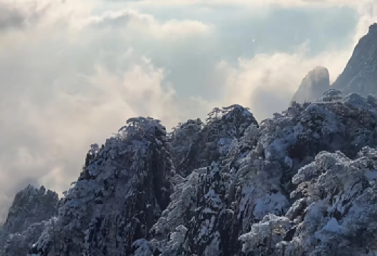黄山经典1日游【光明顶+迎客松+西海大峡谷｜懒人优选】【省力畅玩：四程索道全含，上下山无需徒步，老人小孩都能轻松应对，专注欣赏核心美景。】