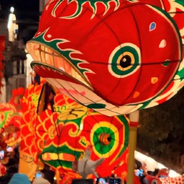 黄山市区出发宏村景区+西递包车9小时一日游|可安排汤口镇出发