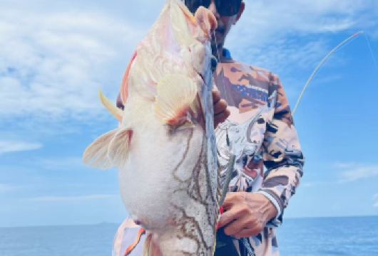 马来西亚仙本那体验海钓 半日游出海钓鱼 上下午专业海钓船【新手友好 提供基础教学，船长协助挂饵、解鱼，无需经验。 包含（钓竿、鱼饵、救生衣）。】