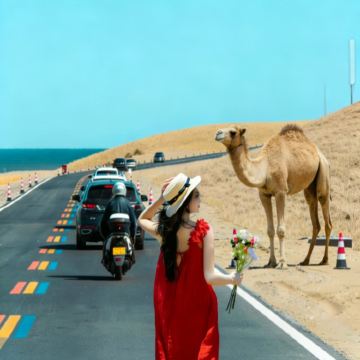 【环湖公路】博斯腾湖+大河口+白鹭洲一日游