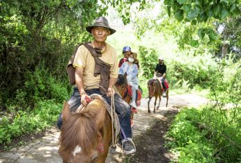 丽江虎跳峡+拉市海茶马古道 纯玩一日游【土鸡火锅+湿地公园】【[舒适小团]14人封顶，商务车出行，一人一正座，本地老师傅，靠谱！】