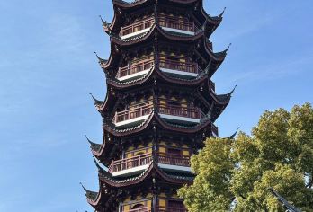 南京：总统府+明孝陵+鸡鸣寺+博物馆  景点可定制导游包车G【全程中文/英文/俄语/小语种服务，沟通无障碍，景点可调,多种车型可选】