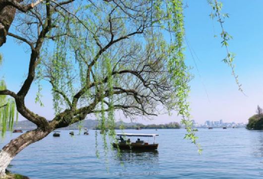 杭州西湖雷峰塔灵隐寺一日游【29人/15人纯玩团导游讲解】【高品纯玩无购物，门票全含无自费，行程透明无套路！】