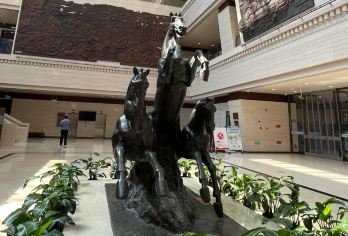 邯郸博物馆+丛台公园+学步桥+邯郸道一日游【2-15人小团】【[品质保障]优选商品，品质拒绝购物 、无自费】