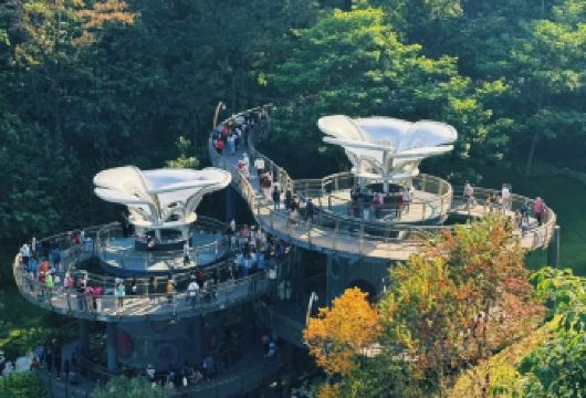 广州1日游私家包团+南越王博物院+网红云萝植物园+外观广州塔【私家旅行：一单一团，不拼客，专属旅行、品质服务：小车上门接送，专职司机护航】