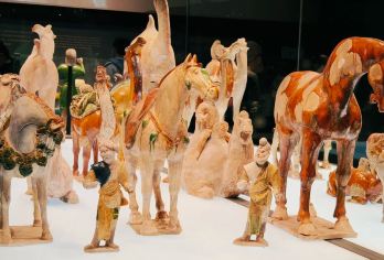 陕西历史博物馆基础+珍宝馆门票+文史大咖人工讲解赠无线耳麦【[精品小团]精品小团，每一位都能照顾到，人少互动更尽兴，99%预约成功率含票，专业才省心】