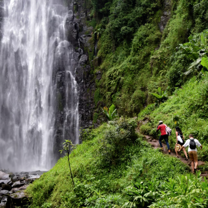 坦桑尼亚乞力马扎罗山脚下瀑布 + 咖啡庄园 + 野温泉一日游
