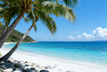 陵水分界洲岛+猴岛+呆呆岛一日游【独立包车+时间行程自主】【[一对一包车]专人专车上门接送】