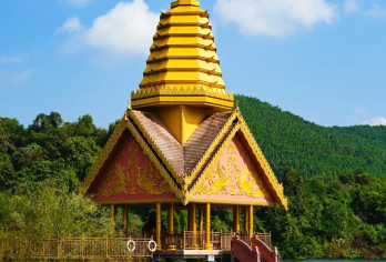 望天树景区探秘雨林+游船+空中走廊真纯玩一日云南旅游西双版纳【价格透明 纯玩无购物】