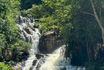 越南大叻一日游(A线路古典套)达坦拉瀑布+午餐+接送+导游【大叻旧火车站:这是法国人于1932年建造的建筑作品。在这里客人可以参观、拍照】