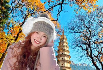 ●金牌讲解●济南灵岩寺/趵突泉/五龙潭/大明湖景区一日游【[纯玩口碑引领者] 匠心打造品质纯玩团，拒绝枯燥无味的低价流水线旅行团，不做低价劣质套路团。】