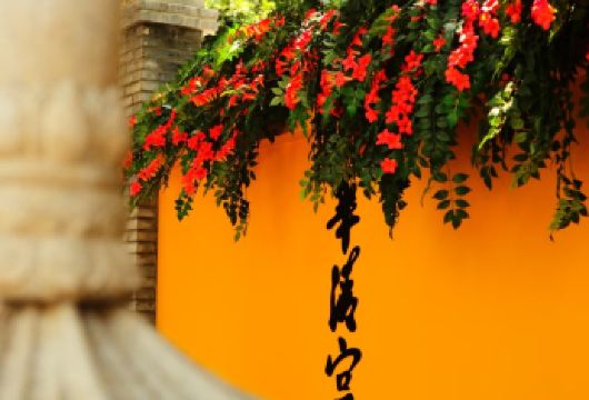 兵马俑博物馆+华清宫+歌舞剧《千古情》一日游【参观“世界第八大奇迹”之一的秦兵马俑博物馆，聆听文物背后的故事！】