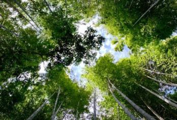 日本京都-琉璃光院-三千院-贵船神社-红叶满天 京都巡礼【专业行程定制，精选热门景点，高效游玩不走回头路，贴心服务保障，轻松】