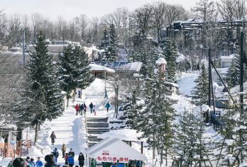 日本北海道旭川动物园｜白须瀑布｜札幌往返｜中文专车【尊享一对一高端行程定制，多日豪华包车专属礼遇，专业旅行顾问24小时恭候垂询。】
