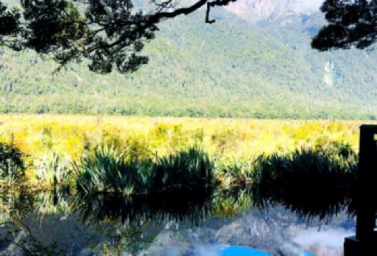 新西兰皇后镇-米尔福德峡湾-中文司导包车一日游-12H【精选热门景点，高效游玩不走回头路，深度了解文化内涵，贴心服务保障，轻松享受旅程，性价比超高的旅行。】