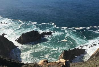 美国一号公路+洛杉矶-旧金山全路段/可多忝定制-咨询立享优惠【专属客服和本地中文司机，一家一团包车】