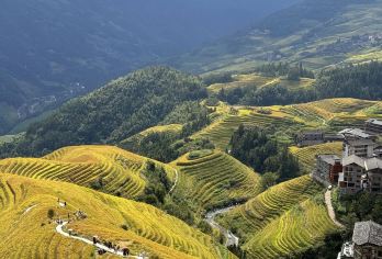 广西桂林芦笛景区+龙脊梯田风景名胜区一日游可英文服务【可提供英文及小语种导游服务-往返接送-可选导游-可代订门票】