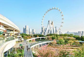 私家小团上门接送|深中通道+深圳历史文化和新潮景点一日活动【私家旅行：一单一团，不拼客，专属旅行；品质服务：5座/7座车上门接送，专职司机护航】