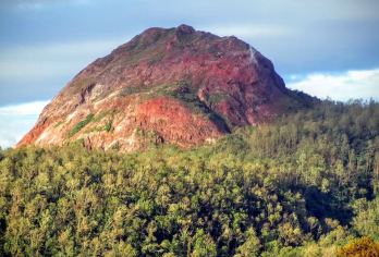 日本北海道包车小樽/美瑛/登别/富良野/-札幌往返任选一日【专属客服和本地中文司机，一家一团包车】